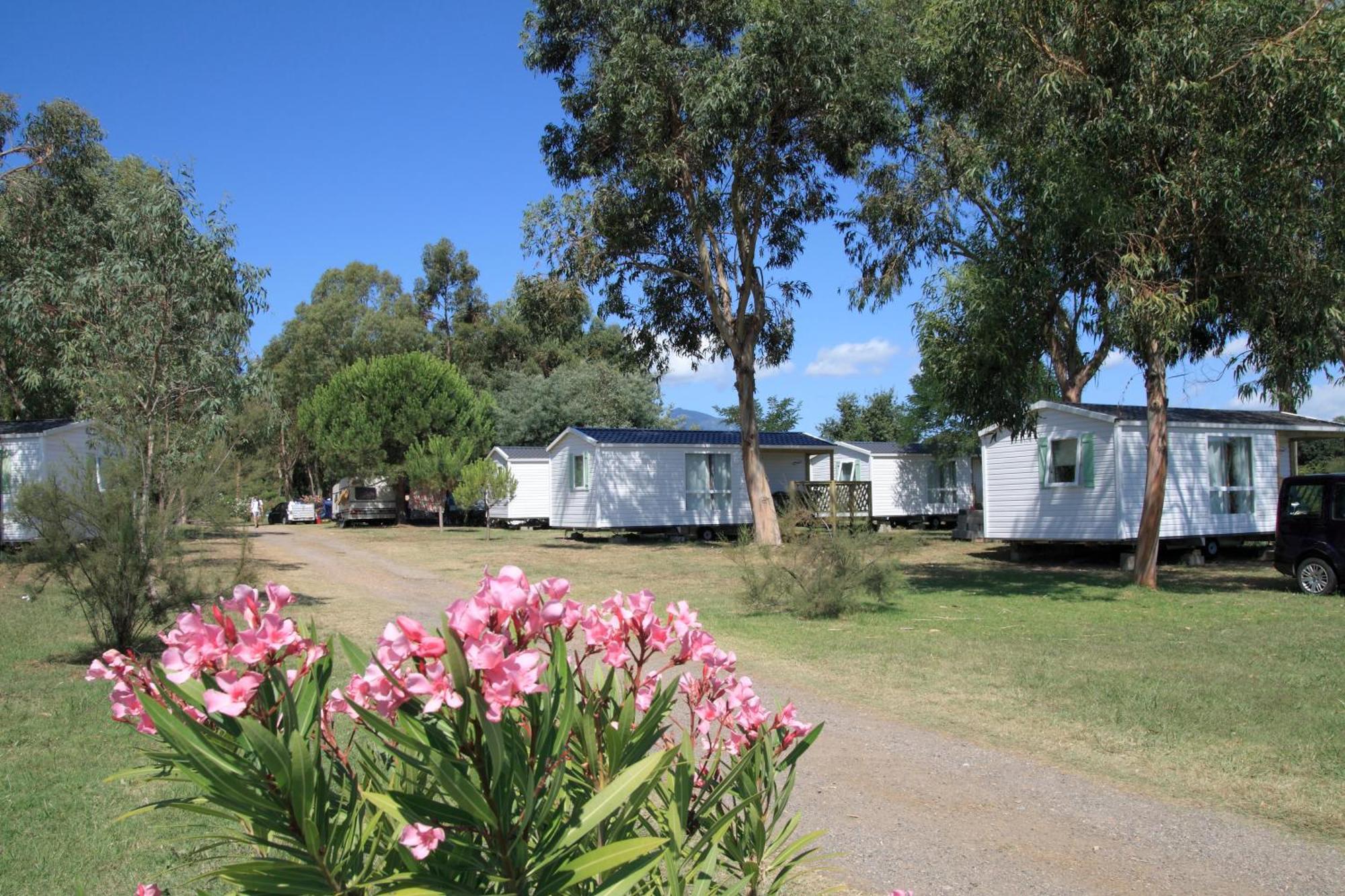 فندق Camping Miami Plage Poggio Mezzana المظهر الخارجي الصورة