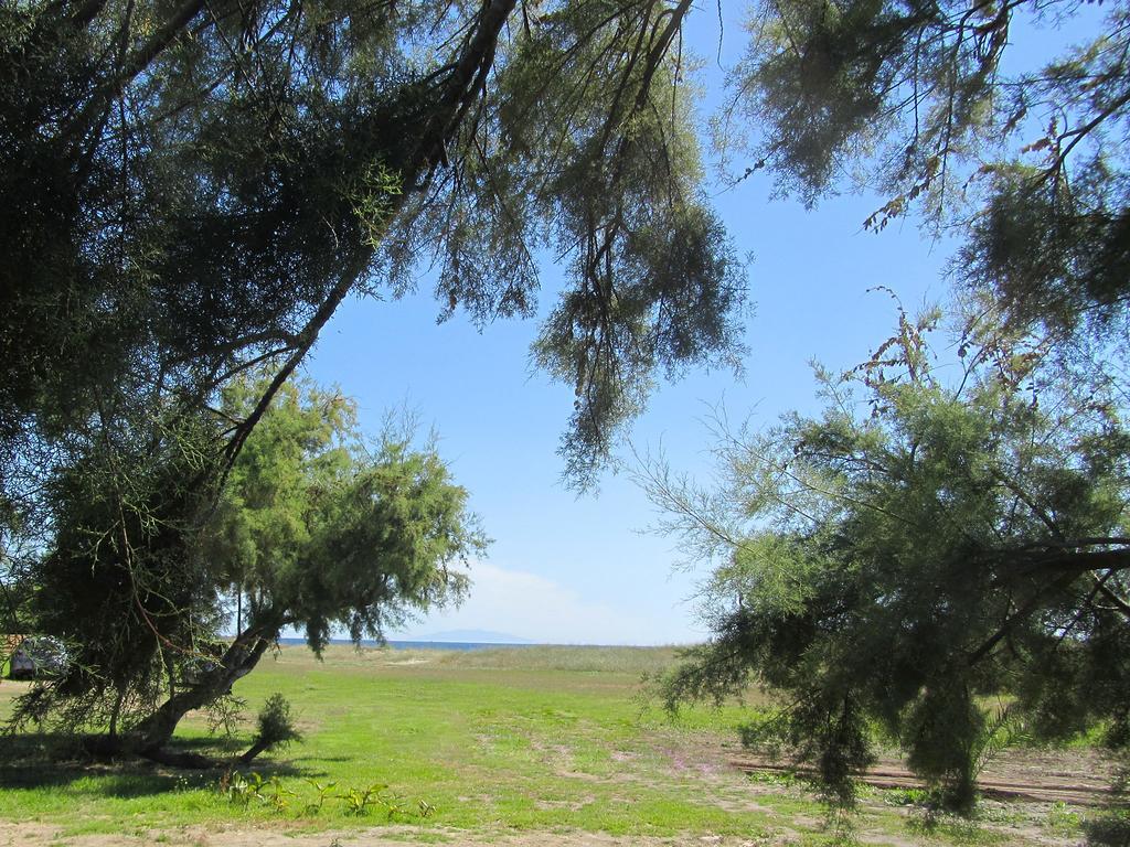 فندق Camping Miami Plage Poggio Mezzana المظهر الخارجي الصورة